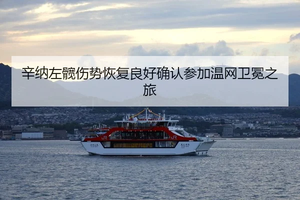 辛纳左髋伤势恢复良好确认参加温网卫冕之旅